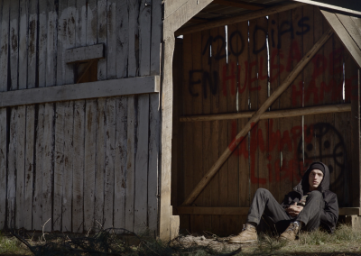 Algún día las raíces